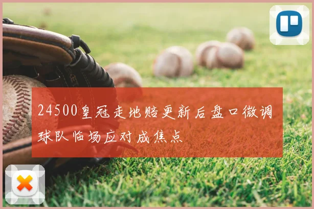 24500皇冠走地赔更新后盘口微调 球队临场应对成焦点
