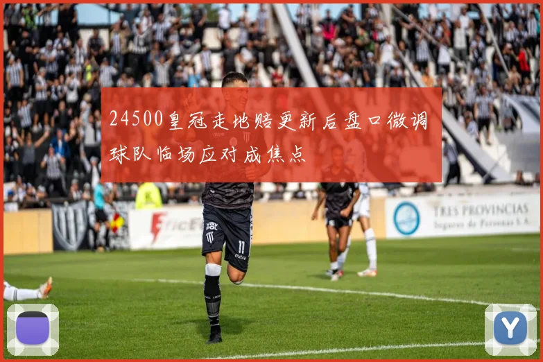 24500皇冠走地赔更新后盘口微调 球队临场应对成焦点